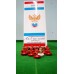 Subbuteo Andrew Table Soccer Russia 2012 World Cup Team on WSB Professional Bases